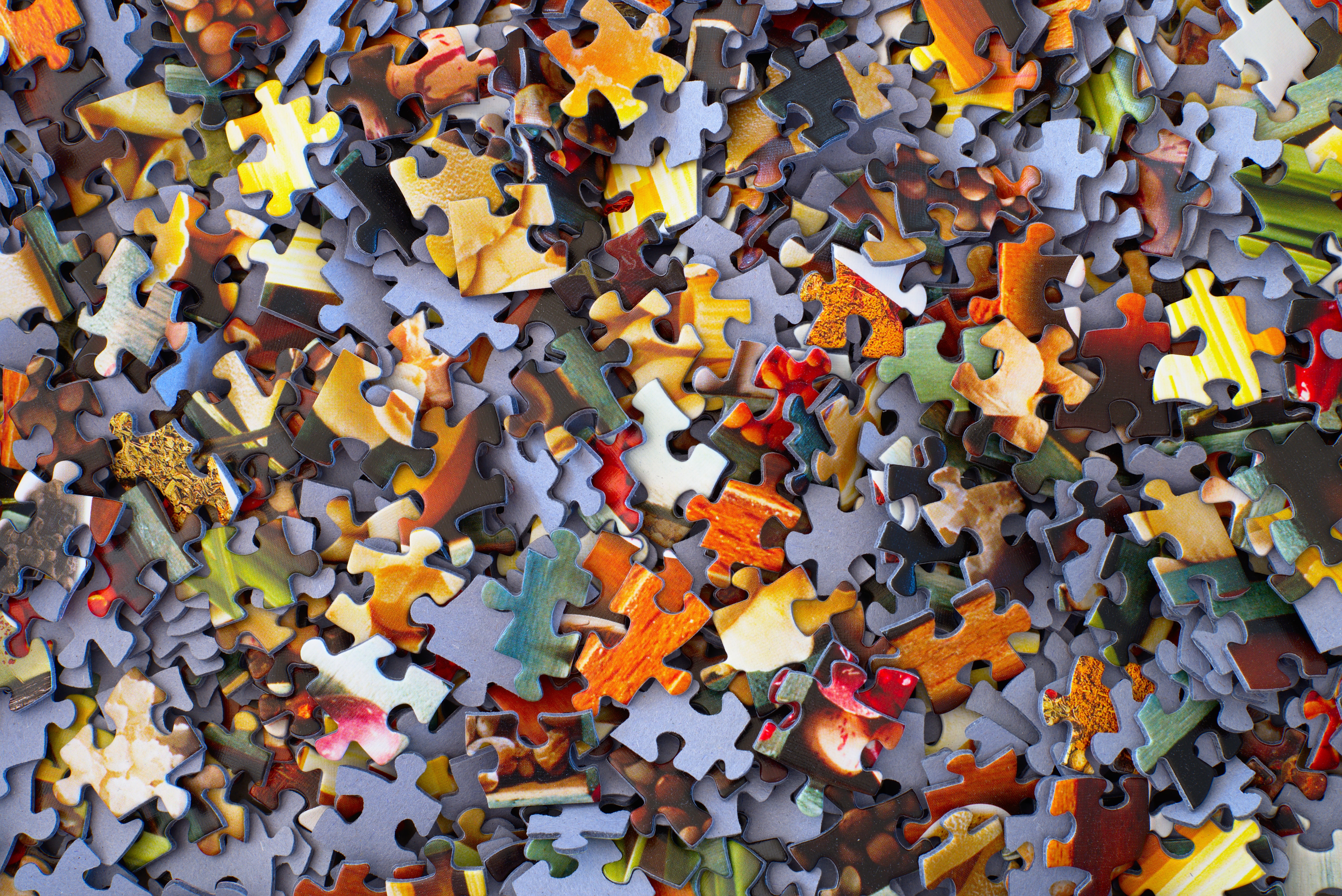 Puzzle | Photo by Hans Peter Gauster on Unsplash
