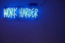 The Levee Studios, Albany, United States