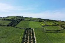 Agricaltural fields around Morozini Aqueduct mainly with grapes
