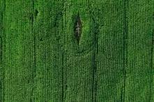 Green field aerial view