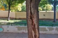 Οδός Κρήτης