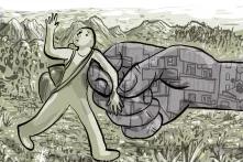 Πόλη και ύπαιθρος