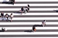 Η πράσινη πολιτική πρόταση - Δημοσκόπηση