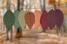 Ο δήμος Θεσσαλονίκης απαντά στους πολίτες