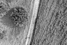 an aerial view of a field with trees 