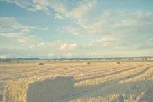 Αγροτική κρίση εκδήλωση