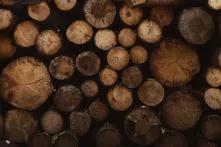 Δάση άρθρο 3