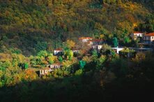 Δάση άρθρο 7