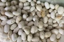 Σουφλί teaser image