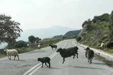 Πόλη - ύπαιθρος ΜΜΕ teaser