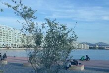 View from the promenade over the bay