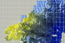 ΑτΕ άρθρο Αλέξανδρος Κιουπκιολής