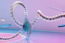 ΑτΕ άρθρο Σοφία Αδάμ