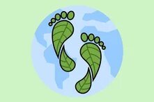 Τα σχολεία προστατεύουν το κλίμα teaser 2