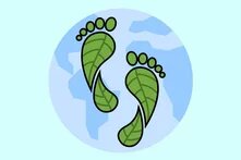 Τα σχολεία προστατεύουν το κλίμα teaser 4