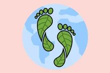 Τα σχολεία προστατεύουν το κλίμα teaser 6