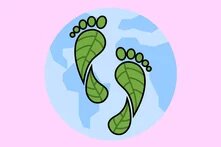 Τα σχολεία προστατεύουν το κλίμα teaser 7