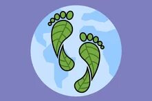 Τα σχολεία προστατεύουν το κλίμα teaser 8