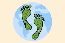 Τα σχολεία προστατεύουν το κλίμα teaser 9