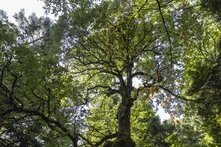 Ακαδημία των Εναλλακτικών 18