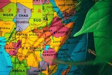 From global to local: unpacking normative foreign policy in Eastern African Green Parties 