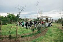 PL Βρώσιμο Δάσος Gallery 1