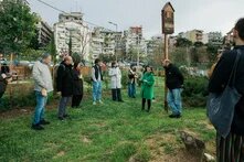 PL Βρώσιμο Δάσος Gallery 9