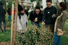 PL Βρώσιμο Δάσος Gallery 10