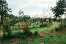 PL Βρώσιμο Δάσος Gallery 11