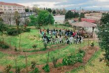 PL Βρώσιμο Δάσος Gallery 14
