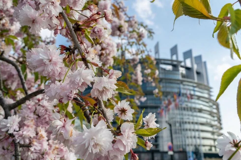 European Parliament Strasbourg - the EU's place for political decision making.