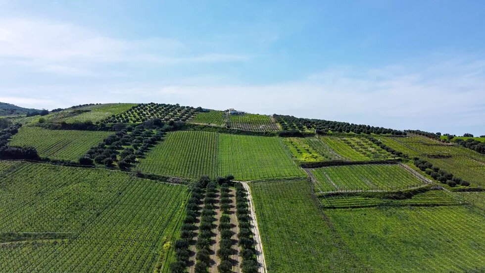 Agricaltural fields around Morozini Aqueduct mainly with grapes