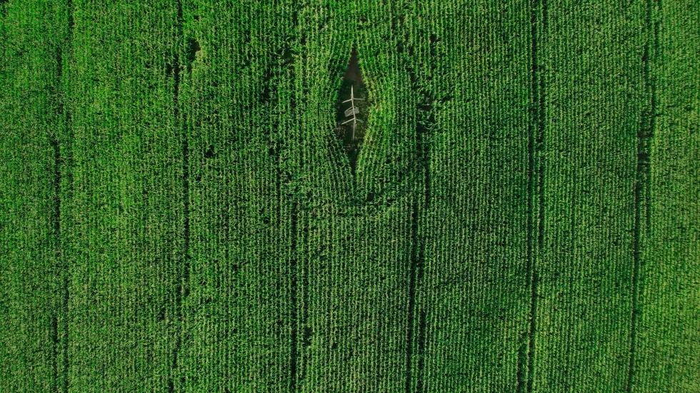 Green field aerial view