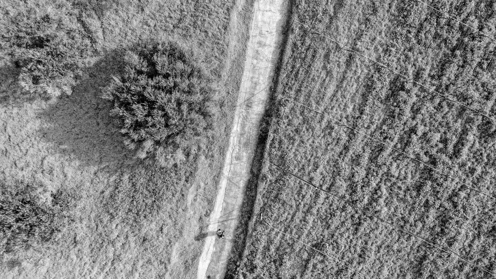 an aerial view of a field with trees 