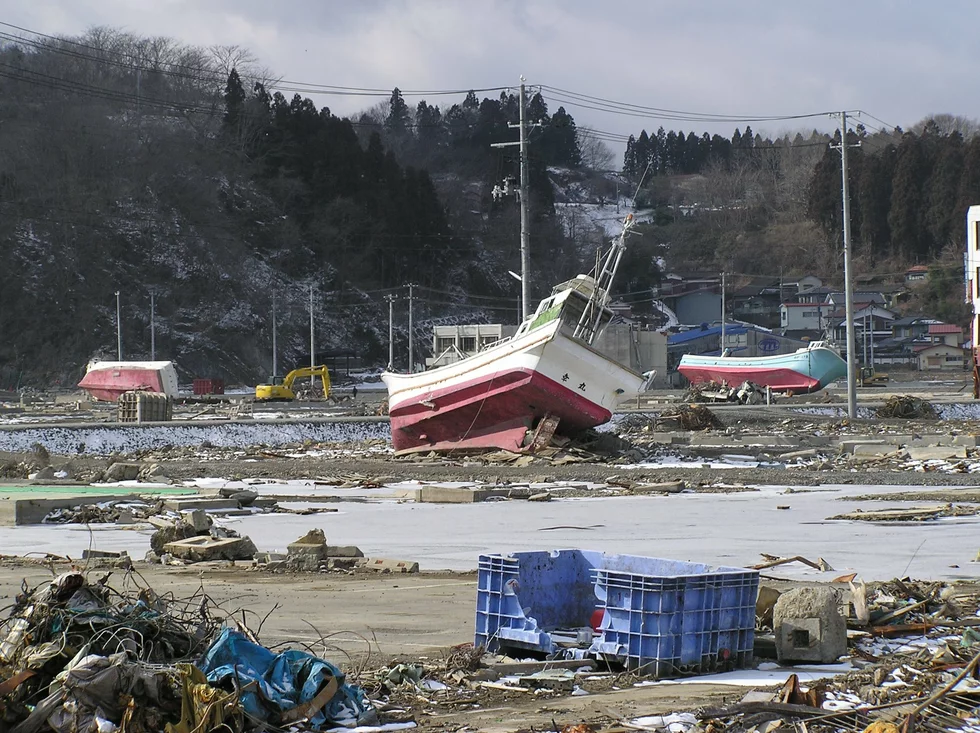 papadopoulos resilient cities