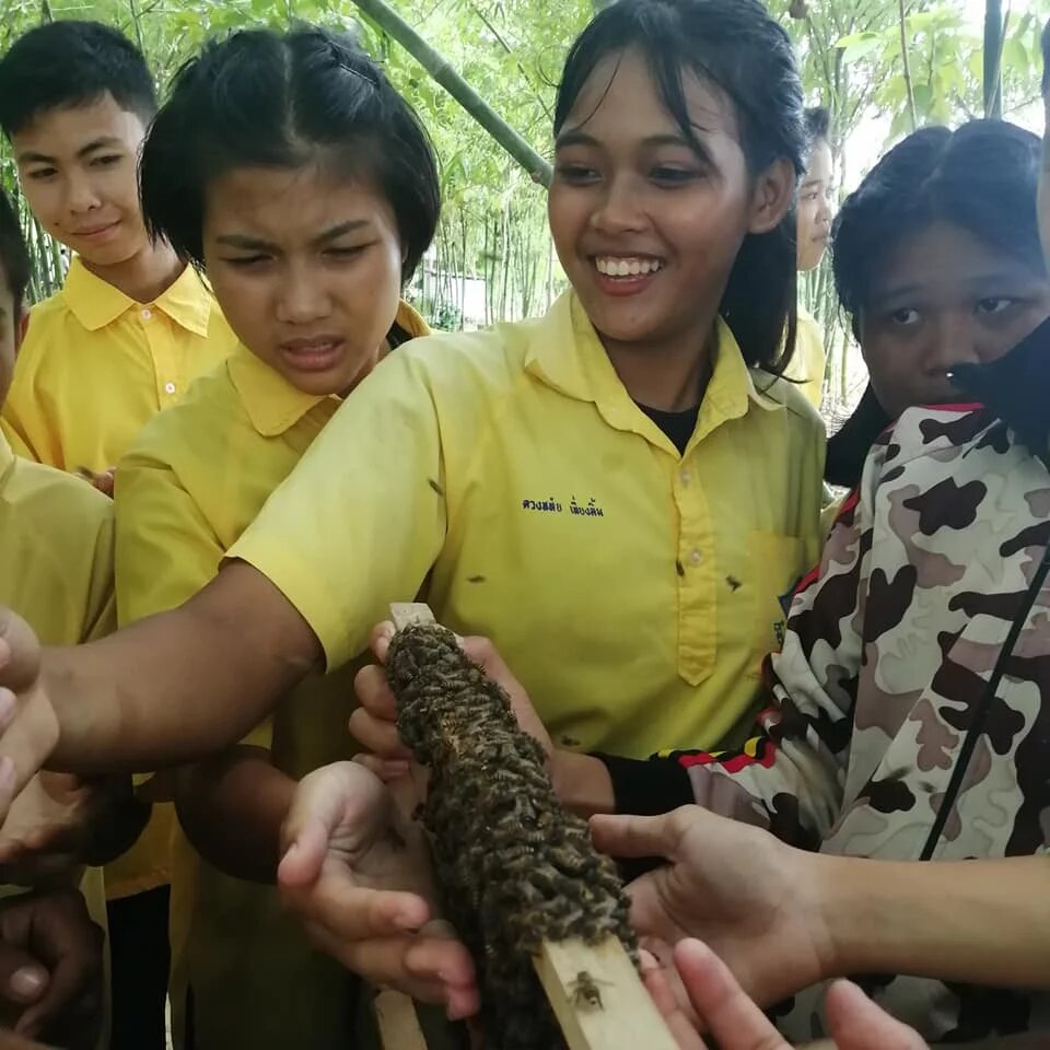 Young Students