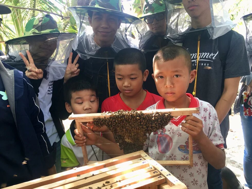 Young Beekeepers